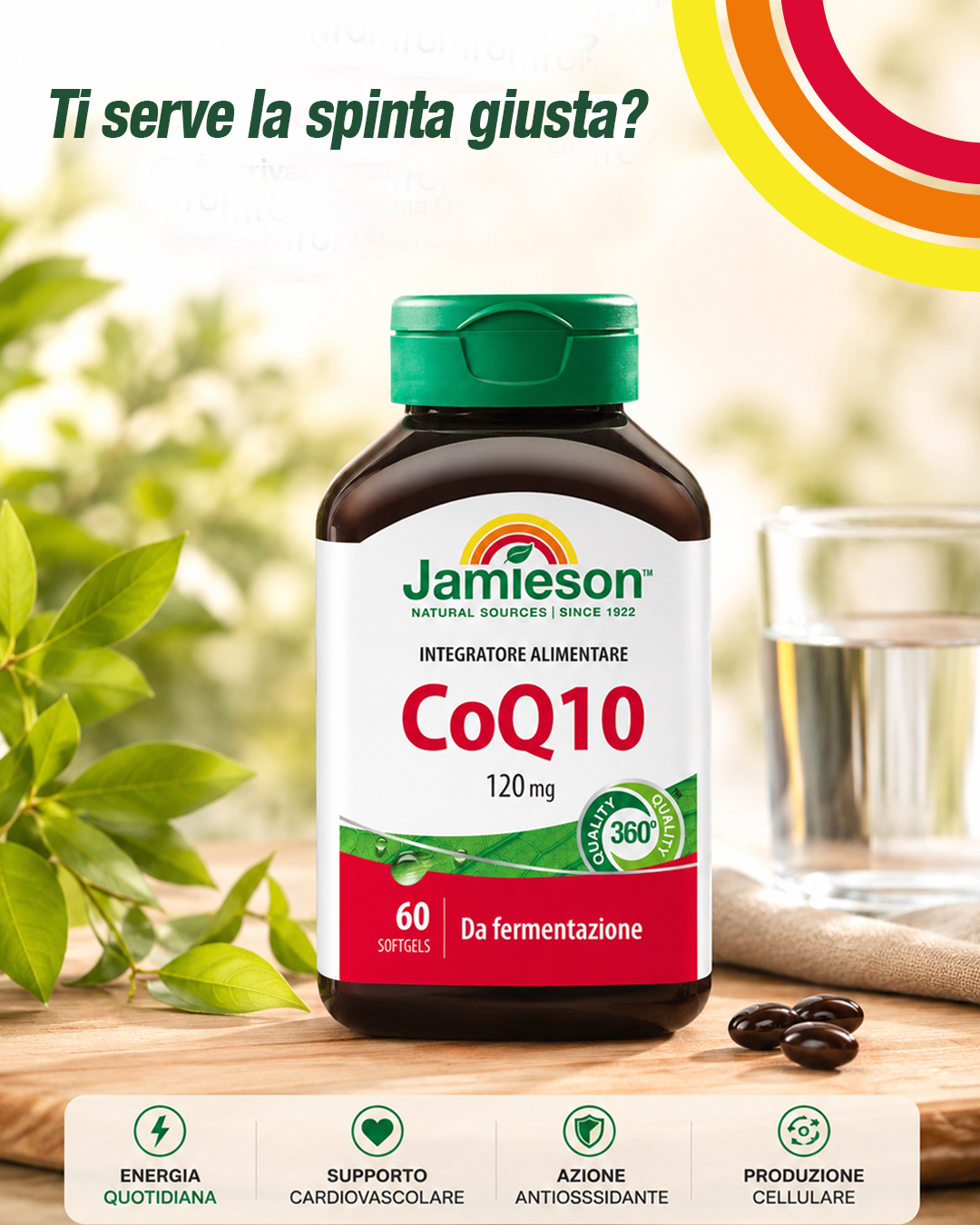 CoQ10 copia