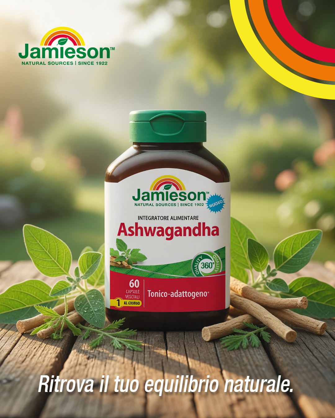 ASHWAGANDHA 60 cps - immagine 4